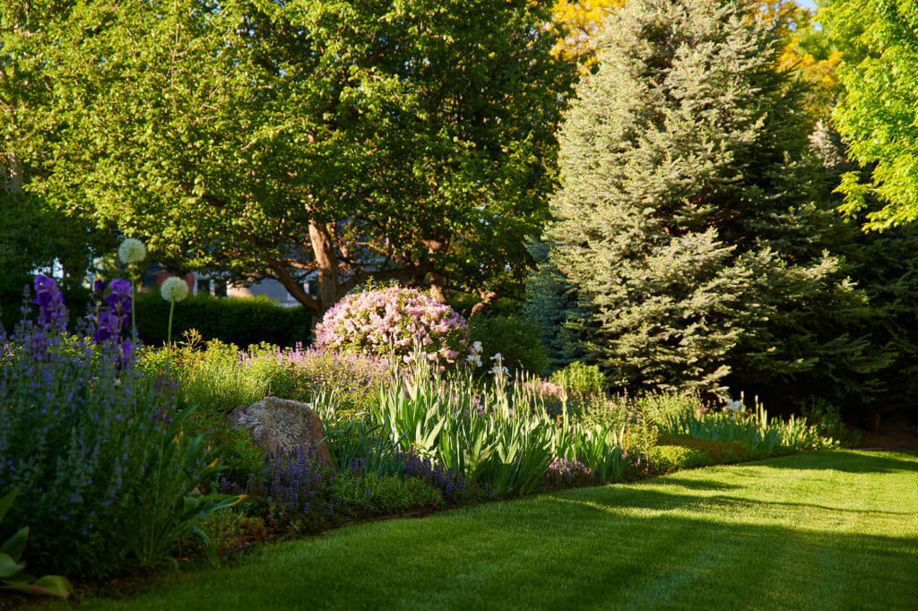 Wellness Focused Landscaping